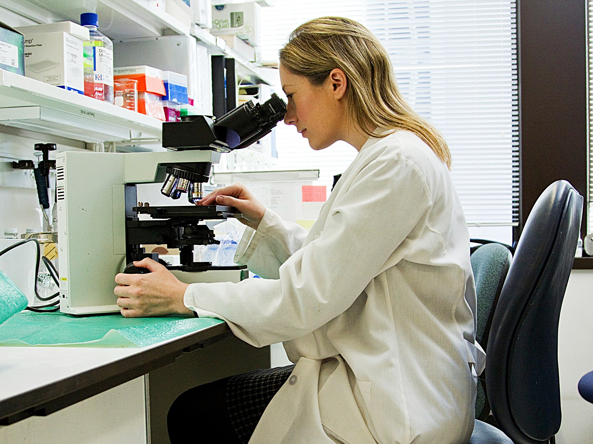 STEM Careers: International Day of Women and Girls in Science